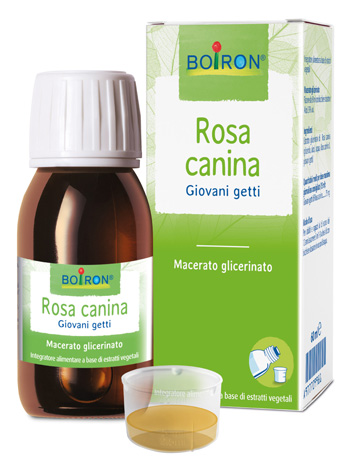 Immagine del prodotto